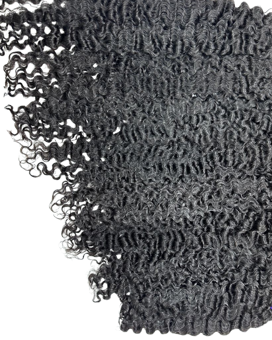 Tropic Curl