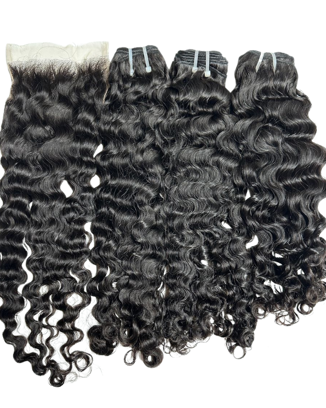 Tropic Curl